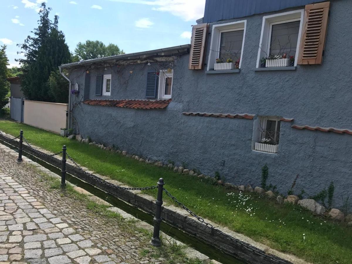 Villa Windschief Thale Eksteriør billede